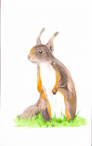 Easy Watercolor Painting Ideas: How to Paint a Squirrel for Beginners
