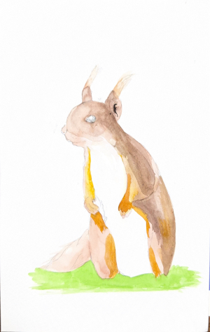 easy-painting-ideas-squirrel-watercolor