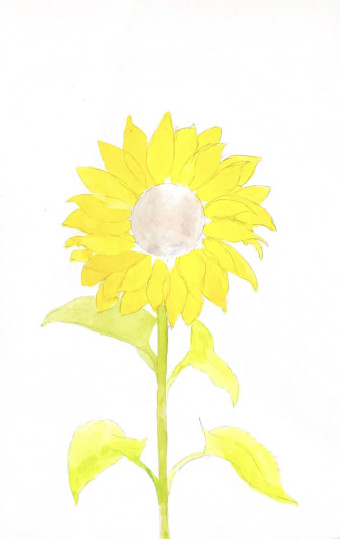 Easy Sunflower Watercolor Painting