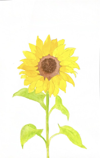 Easy Sunflower Watercolor Painting